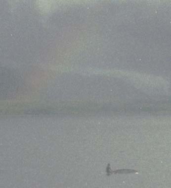 本栖湖に浮かぶOさん