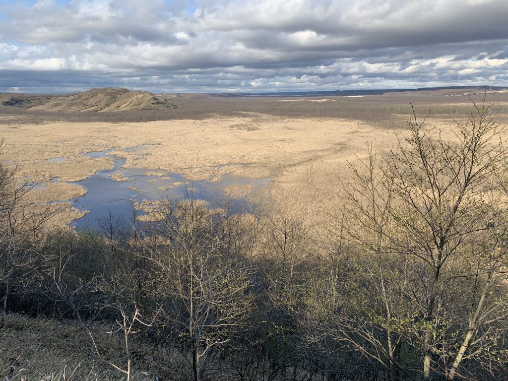 コッタロ湿原展望台